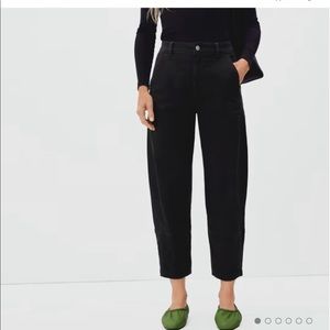 Everlane The Utility Barrel Pant 4